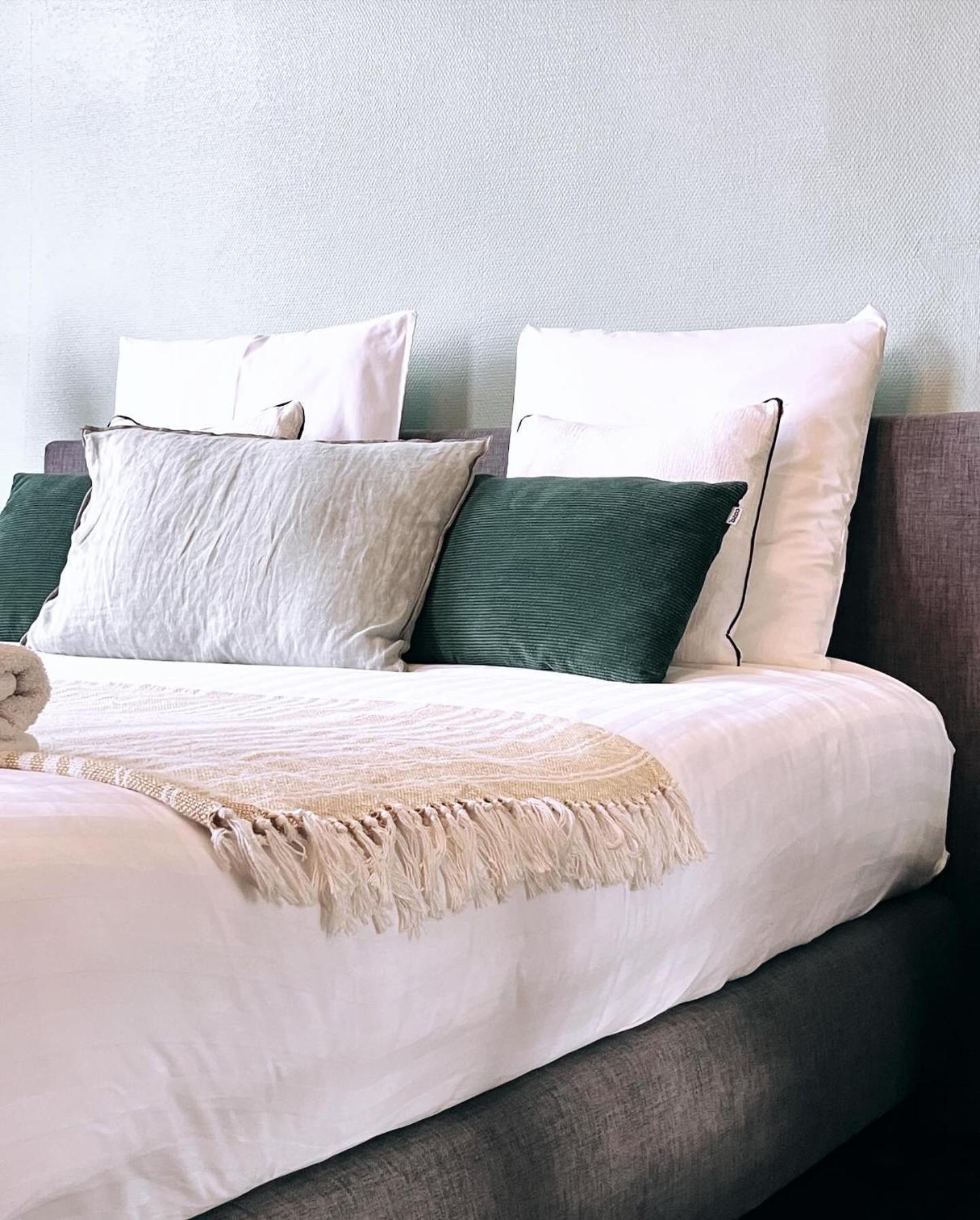 Bed and Breakfast Domus Portus Dendermonde Zewnętrze zdjęcie